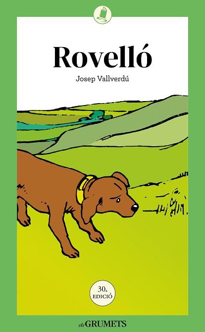 ROVELLO | 9788424676476 | VALLVERDU I AIXALA, JOSEP