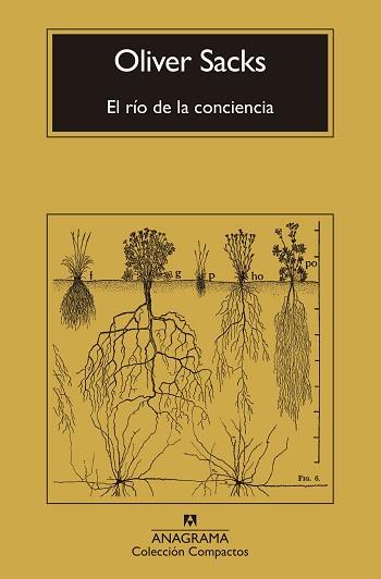 RIO DE LA CONCIENCIA, EL | 9788433946867 | SACKS, OLIVER