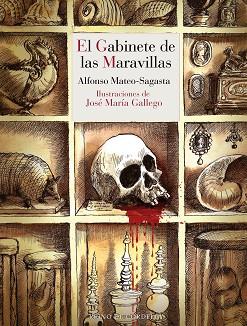 GABINETE DE LAS MARAVILLAS, EL | 9788419124746 | MATEO-SAGASTA, ALFONSO