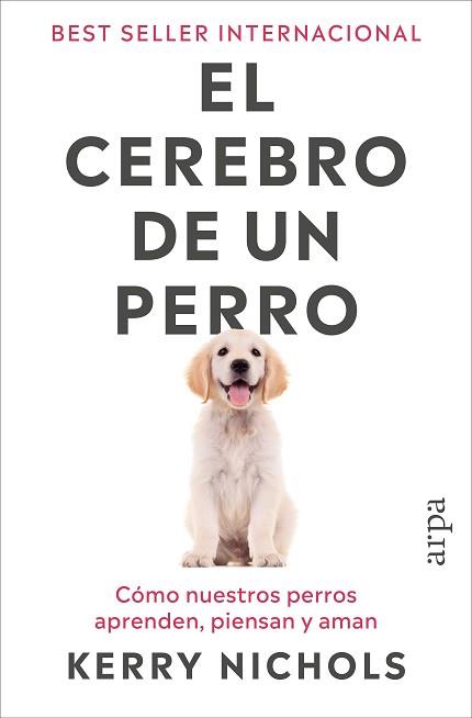 CEREBRO DE UN PERRO, EL | 9791387833916 | NICHOLS, KERRY