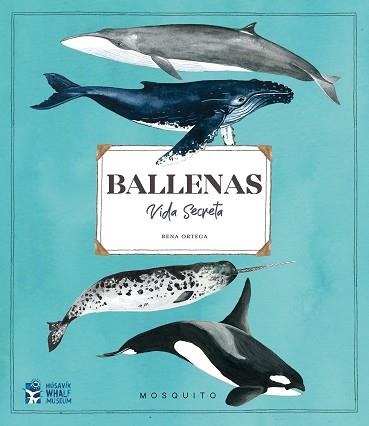 BALLENAS  VIDA SECRETA | 9788412247947 | ORTEGA, RENA