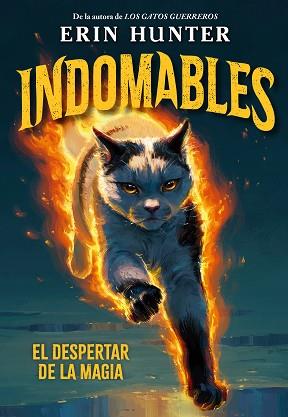 DESPERTAR DE LA MAGIA, INDOMABLES 1. EL  | 9791388042027 | HUNTER, ERIN