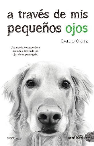 A TRAVES DE MIS PEQUEÑOS OJOS | 9788416634682 | ORTIZ PULIDO, EMILIO