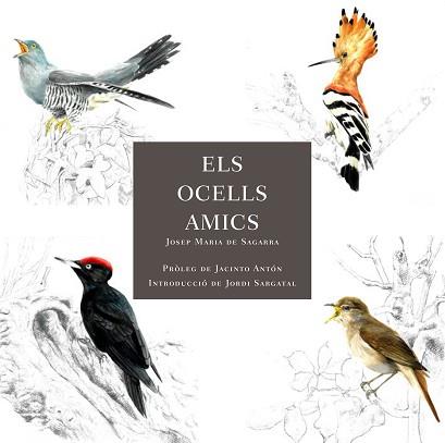 OCELLS AMICS, ELS | 9788412949025 | DE SAGARRA, JOSEP MARIA