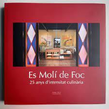 ES MOLI DE FOC | 9788409334490 | VILA PLA, VICENT