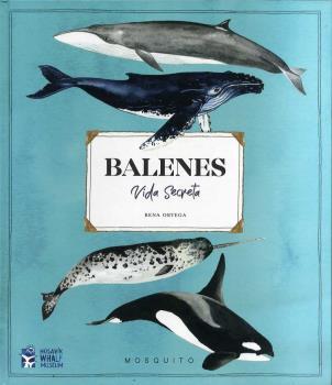 BALENES  VIDA SECRETA | 9788412247954 | ORTEGA, RENA