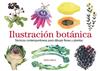 ILUSTRACION BOTANICA (100 0G1911) | 9788425231841 | BIRCH, HELEN
