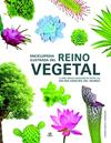 ENCICLOPEDIA ILUSTRADA DEL REINO VEGETAL | 9788466232722 | MARTUL HERNANDEZ, CARMEN
