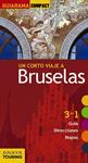 BRUSELAS | 9788499358703 | MARTIN, GALO 