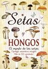 SETAS Y HONGOS | 9788415401216