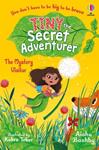 TINY THE SECRET ADVENTURER: THE MYSTERY VISITOR | 9781801314138 | BUSHBY, AISHA
