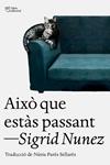 AIXO QUE ESTAS PASSANT | 9788412925739 | NUNEZ, SIGRID