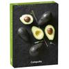 AGUACATE SENTTIA ESSENTIAL COOKBOOKS | 9789876377300 | LOS EDITORES DE CATAPULTA