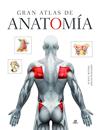 GRAN ATLAS DE ANATOMIA | 9788466236713 | BENNER, KLAUS-U / WUILLEMET, SASCHA