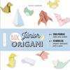 ORIGAMI BLOC JUNIOR | 9788417720124 | BOURSIN, DIDIER
