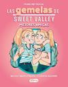GEMELAS DE SWEET VALLEY, LAS MEJORES AMIGAS (LIBRO 1) | 9788419802675 | PASCAL, FRANCINE