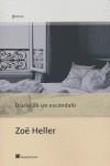DIARIO DE UN ESCANDOLO | 9788496284548 | HELLER, ZOE