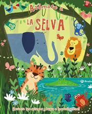 ASOMATE A LA SELVA | 9788469622841 | VARIOS AUTORES