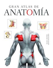 GRAN ATLAS DE ANATOMIA | 9788466236713 | BENNER, KLAUS-U / WUILLEMET, SASCHA