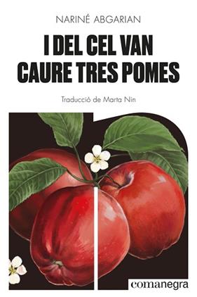 I DEL CEL VAN CAURE TRES POMES | 9788418857041 | ABGARIAN, NARINE