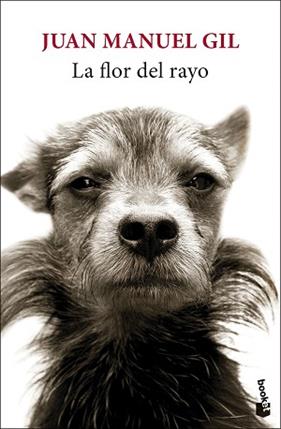 LA FLOR DEL RAYO | 9788432244827 | GIL, JUAN MANUEL