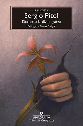 DOMAR A LA DIVINA GARZA | 9788433950987 | PITOL, SERGIO