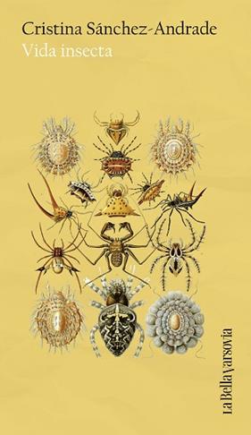 VIDA INSECTA | 9788433949653 | SANCHEZ-ANDRADE, CRISTINA