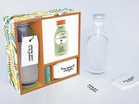 KIT SMOOTHIES  LA SOLUCION ANTIOXIDANTE | 9788416489817 | GREEN, FERN