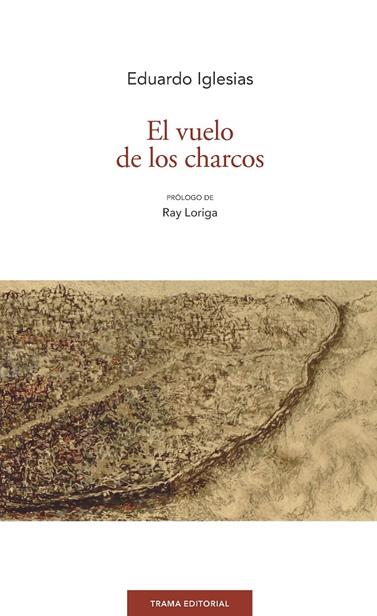 VUELO DE LOS CHARCOS, EL | 9788494846519 | IGLESIAS BERRIDI, EDUARDO