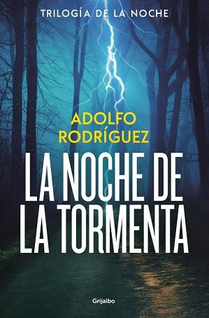 NOCHE DE LA TORMENTA, LA (TRILOGÍA DE LA NOCHE 3) | 9788425374227 | RODRIGUEZ, ADOLFO