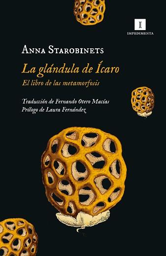 GLANDULA DE ICARO, LA | 9788419581020 | STAROBINETS, ANNA