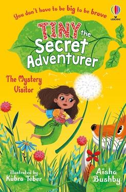 TINY THE SECRET ADVENTURER: THE MYSTERY VISITOR | 9781801314138 | BUSHBY, AISHA