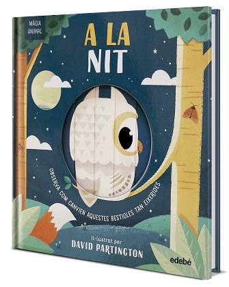 MAGIA ANIMAL A LA NIT | 9788468372143 | CLARK, NEIL / STONE, HARRIET