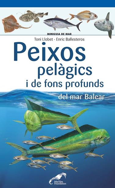 PEIXOS PELAGICS I DE FONS PROFUNDS DEL MAR BALEAR | 9788490349397 | LLOBET FRANÇOIS, TONI / BALLESTEROS SAGARRA, ENRIC
