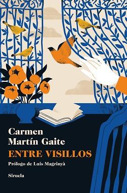 ENTRE VISILLOS | 9788410415317 | MARTIN GAITE, CARMEN